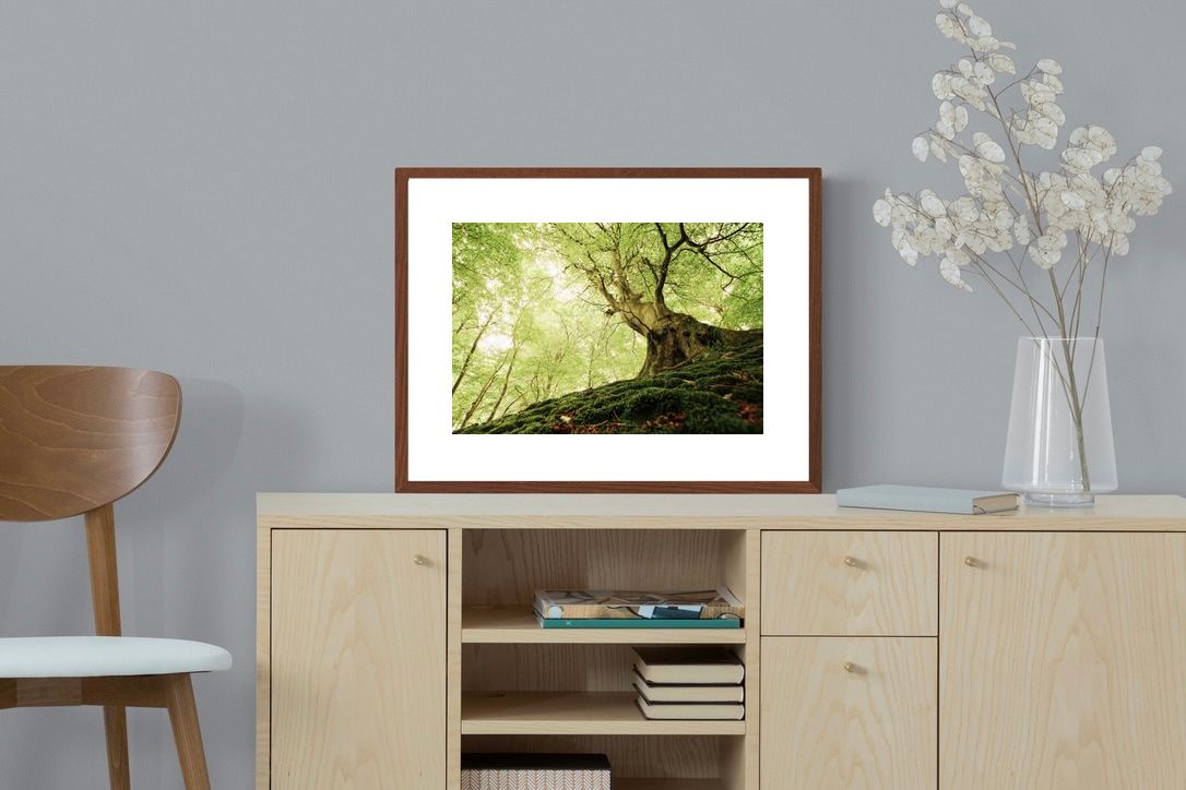 Pixalot ® Tree