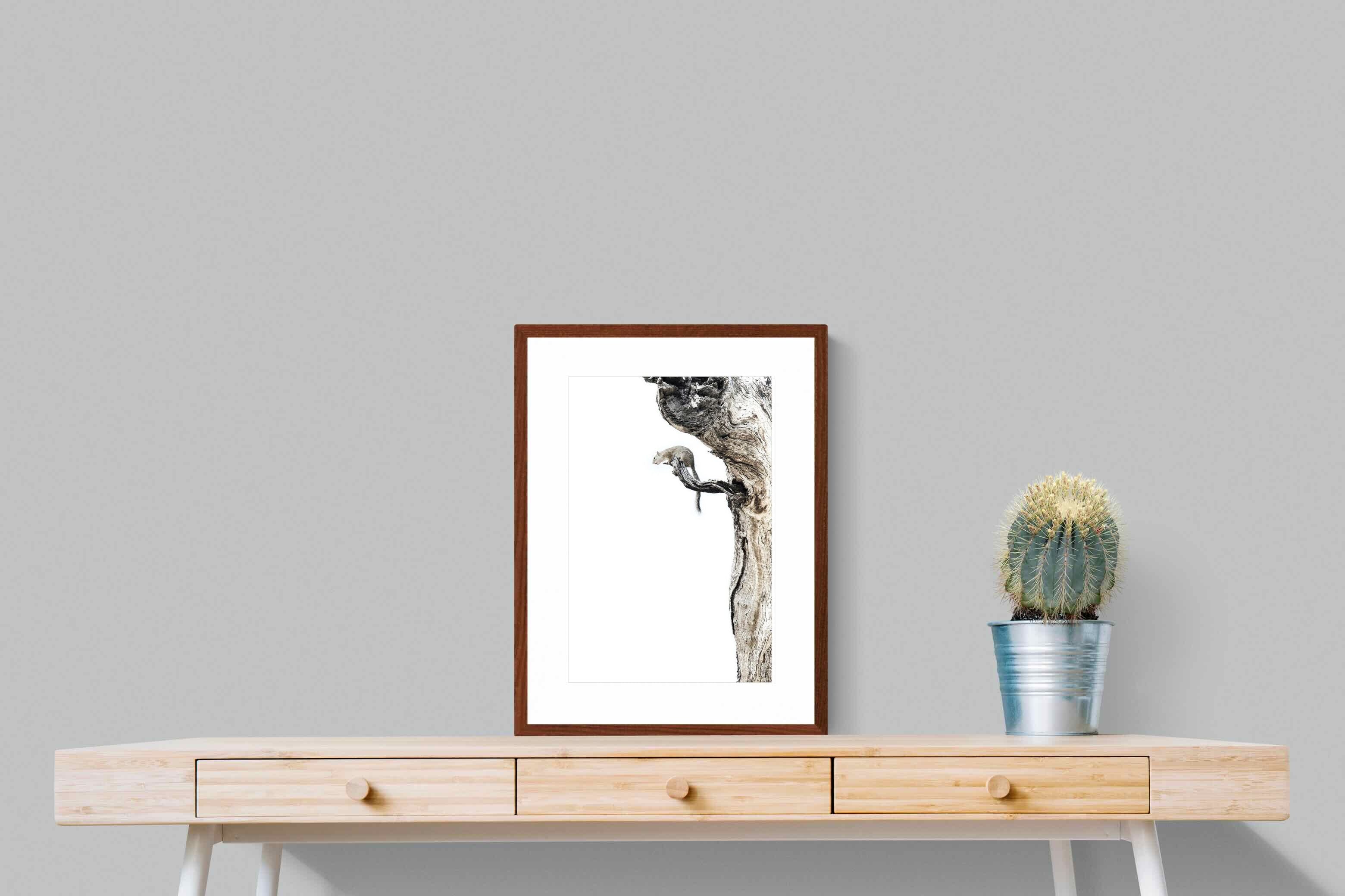 Pixalot Tree Squirrel