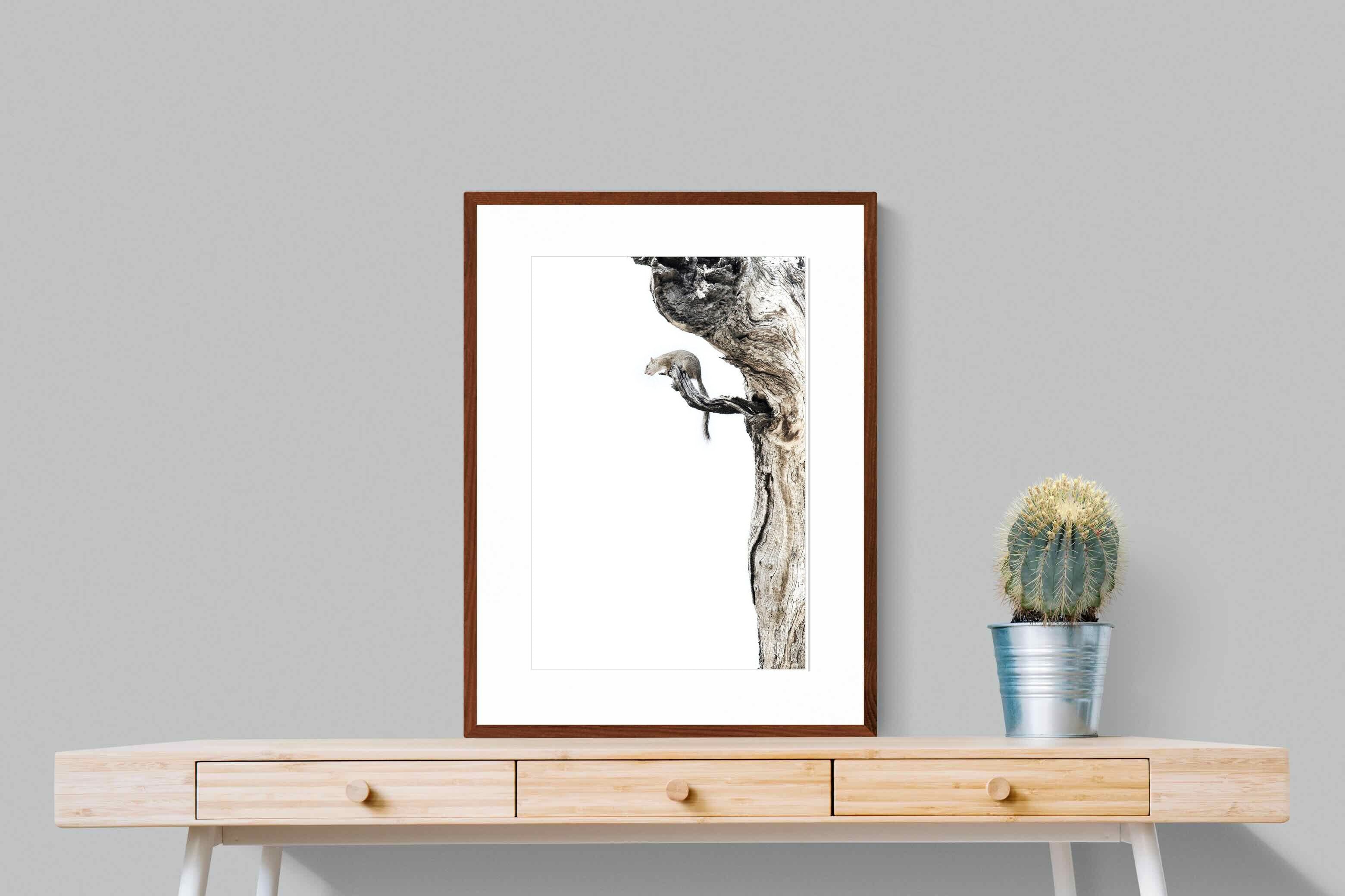 Pixalot Tree Squirrel