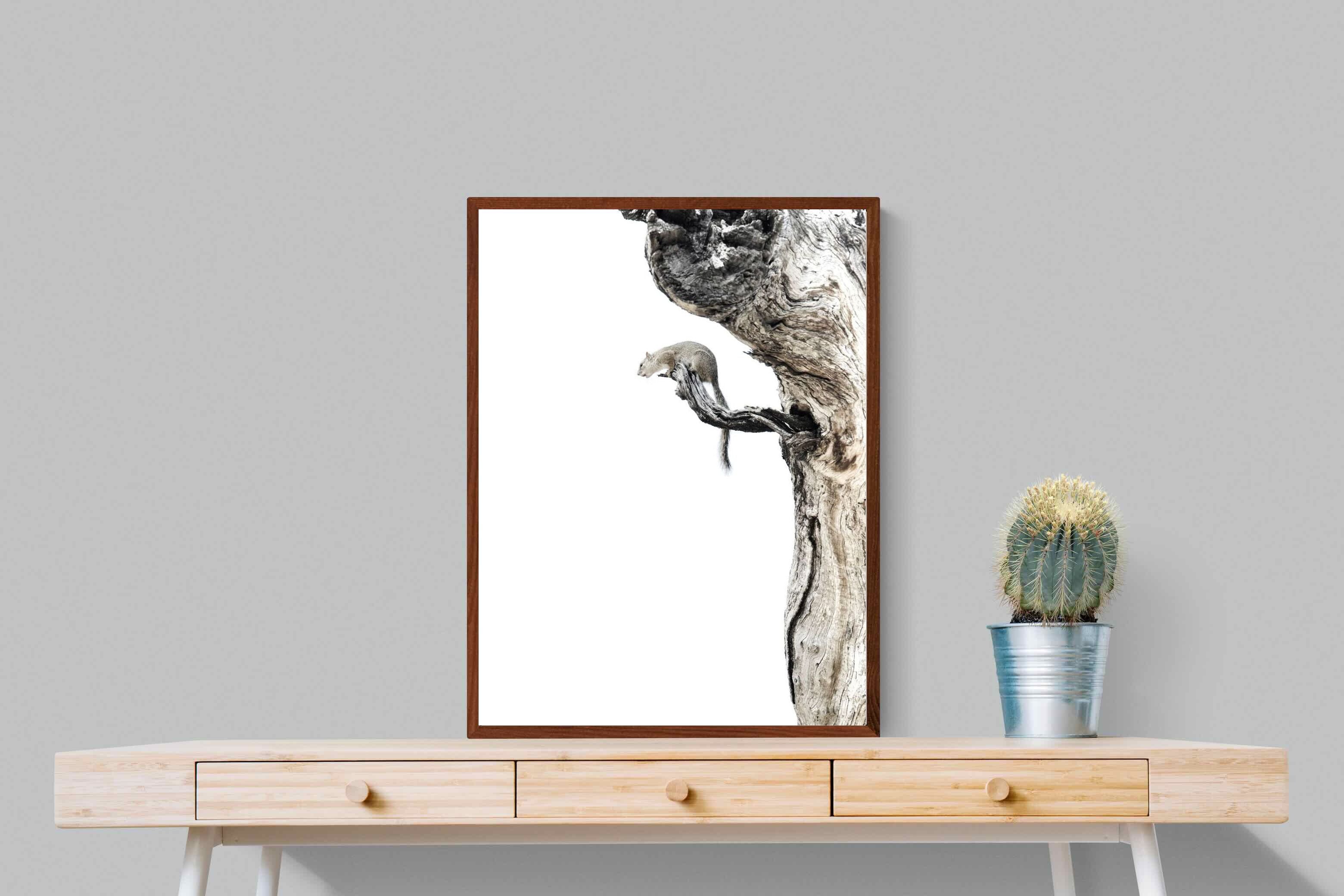 Pixalot Tree Squirrel