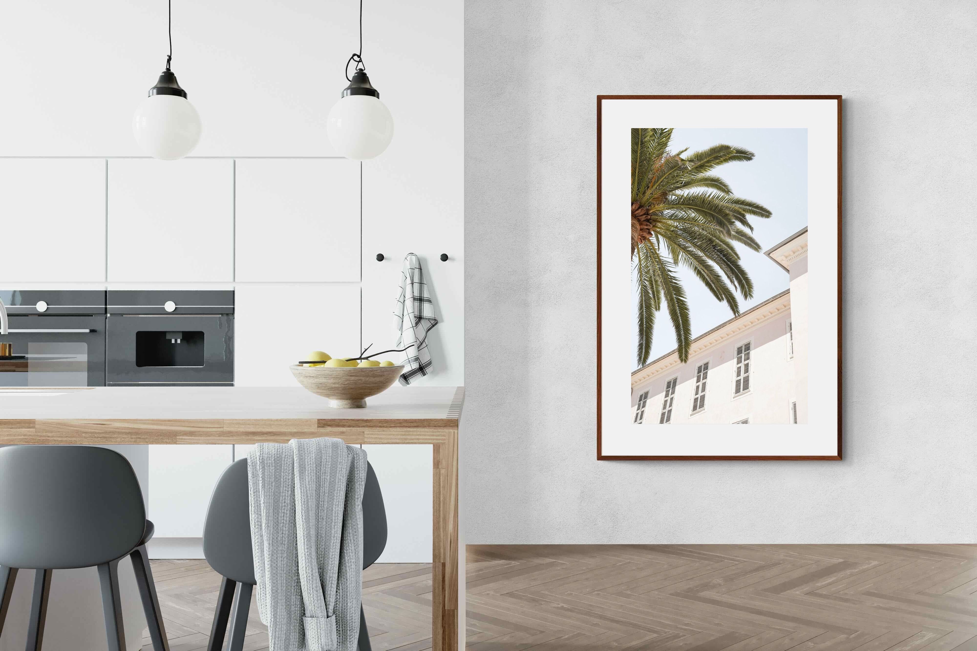 Pixalot Tropical Menton