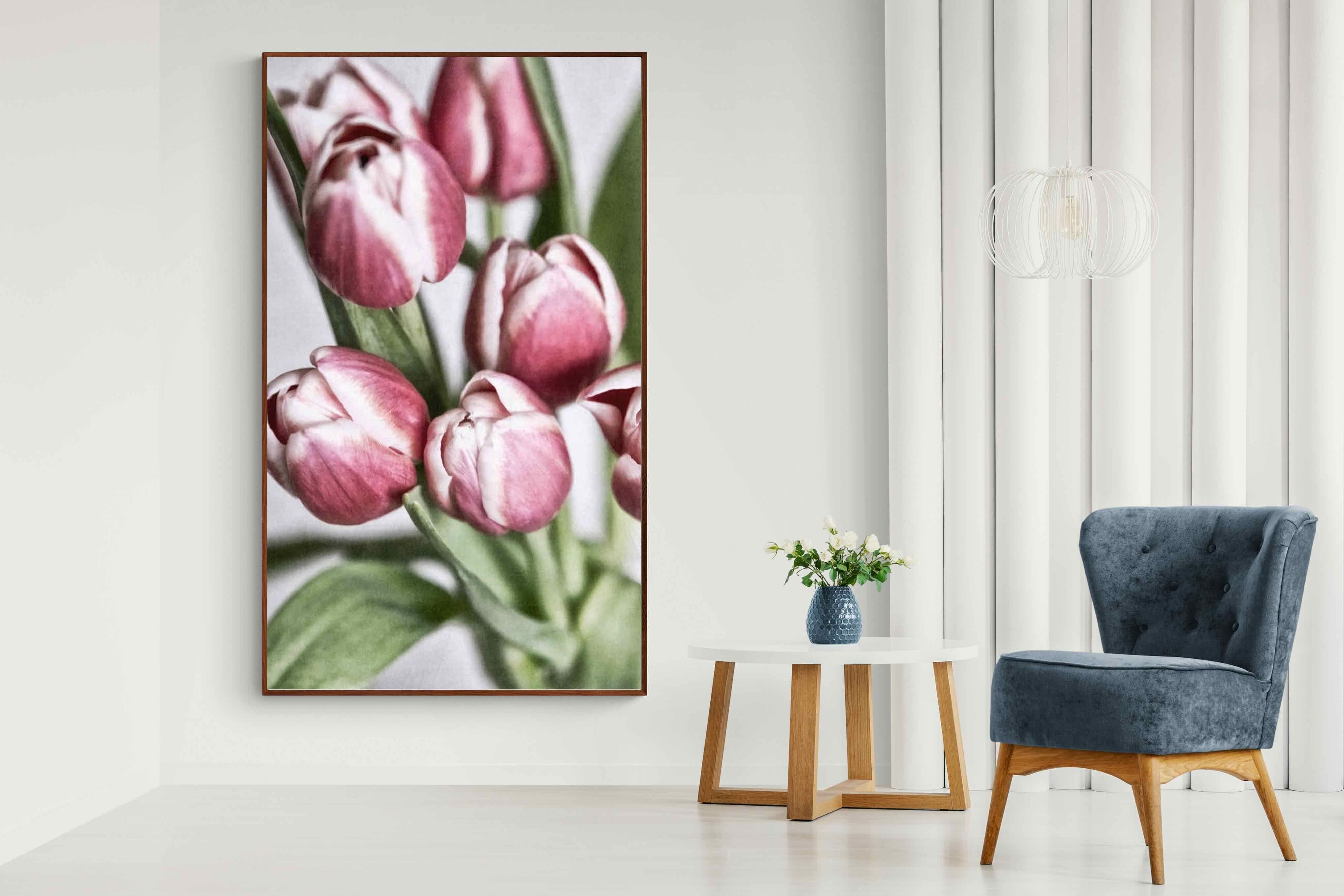 Pixalot Tulip Bunch