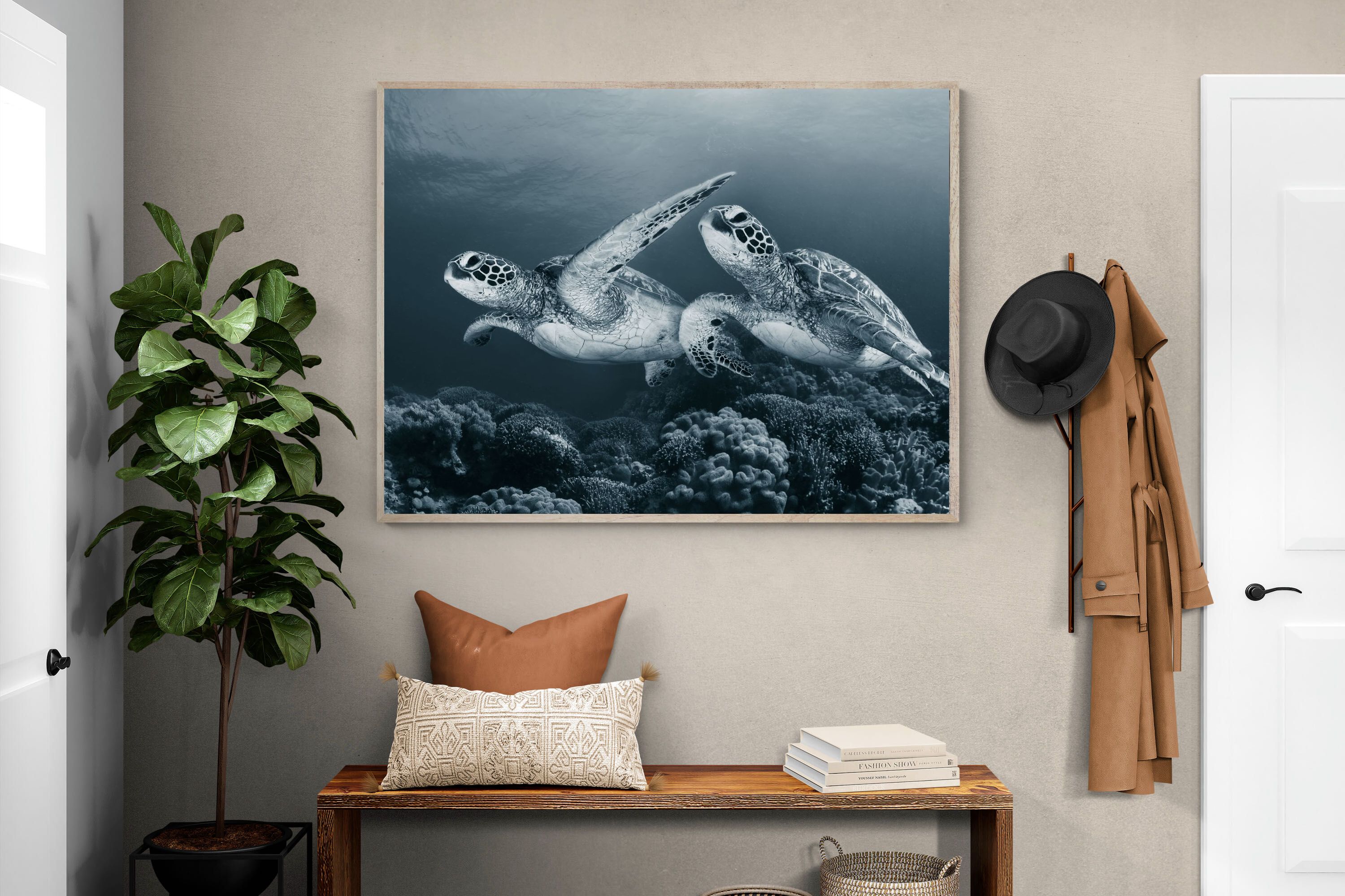 Pixalot Twin Turtles