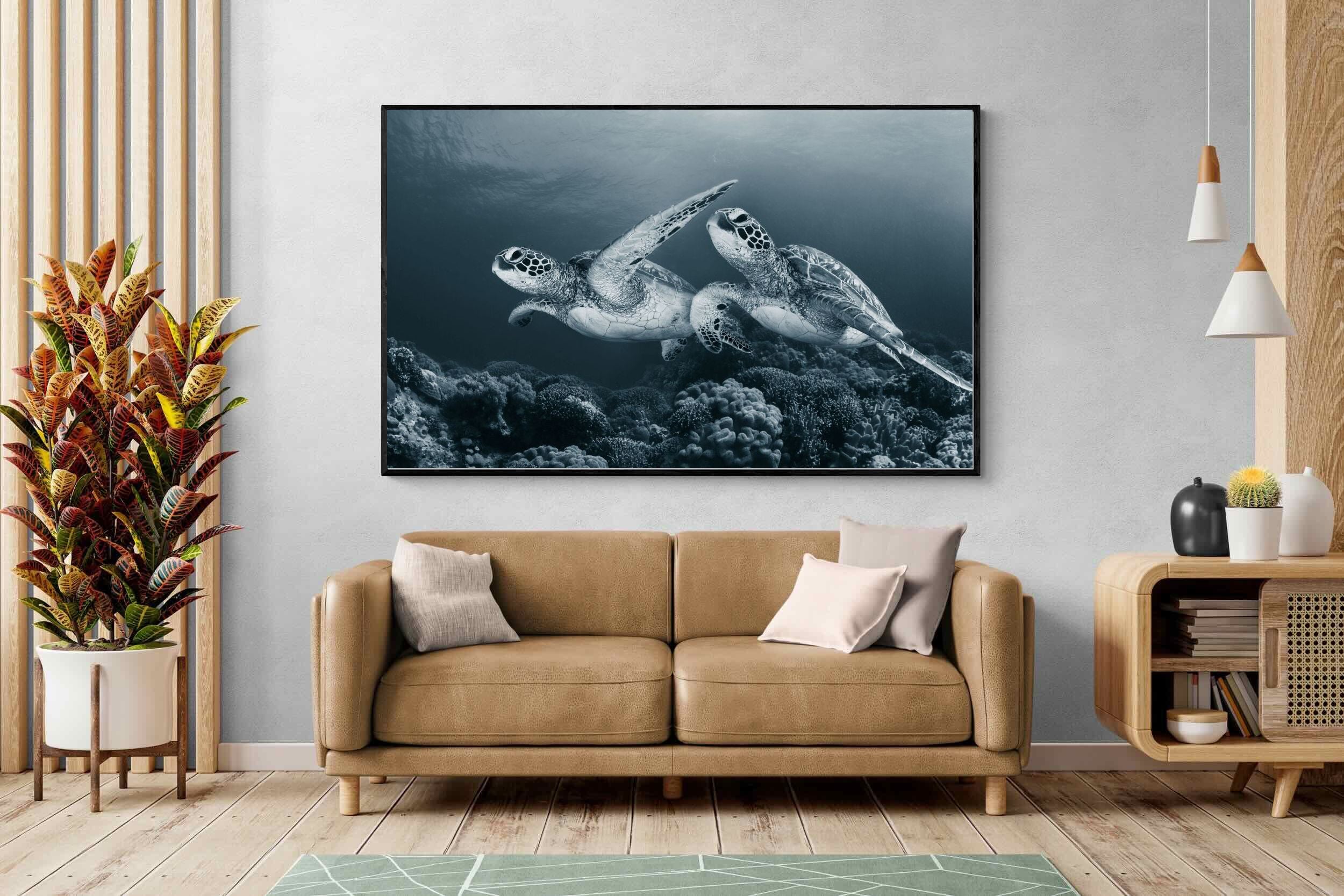 Pixalot Twin Turtles