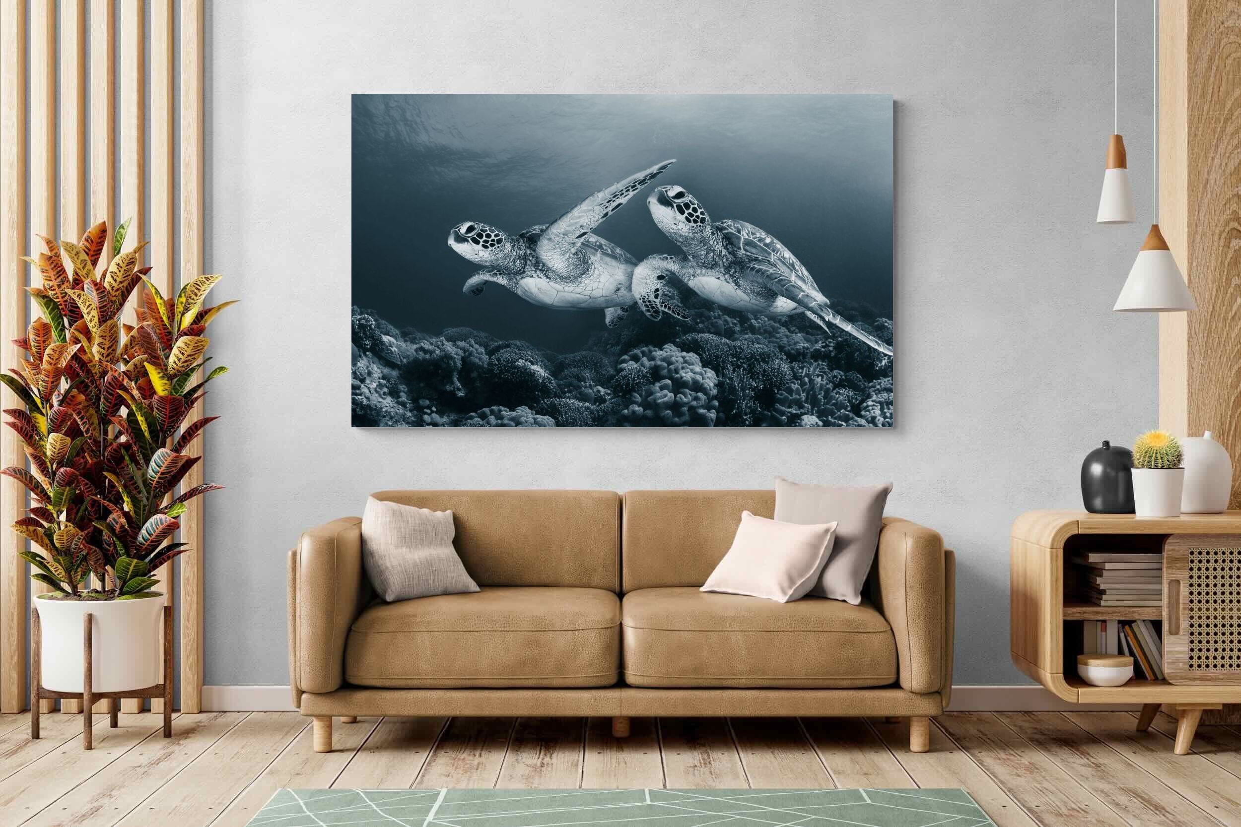 Pixalot Twin Turtles