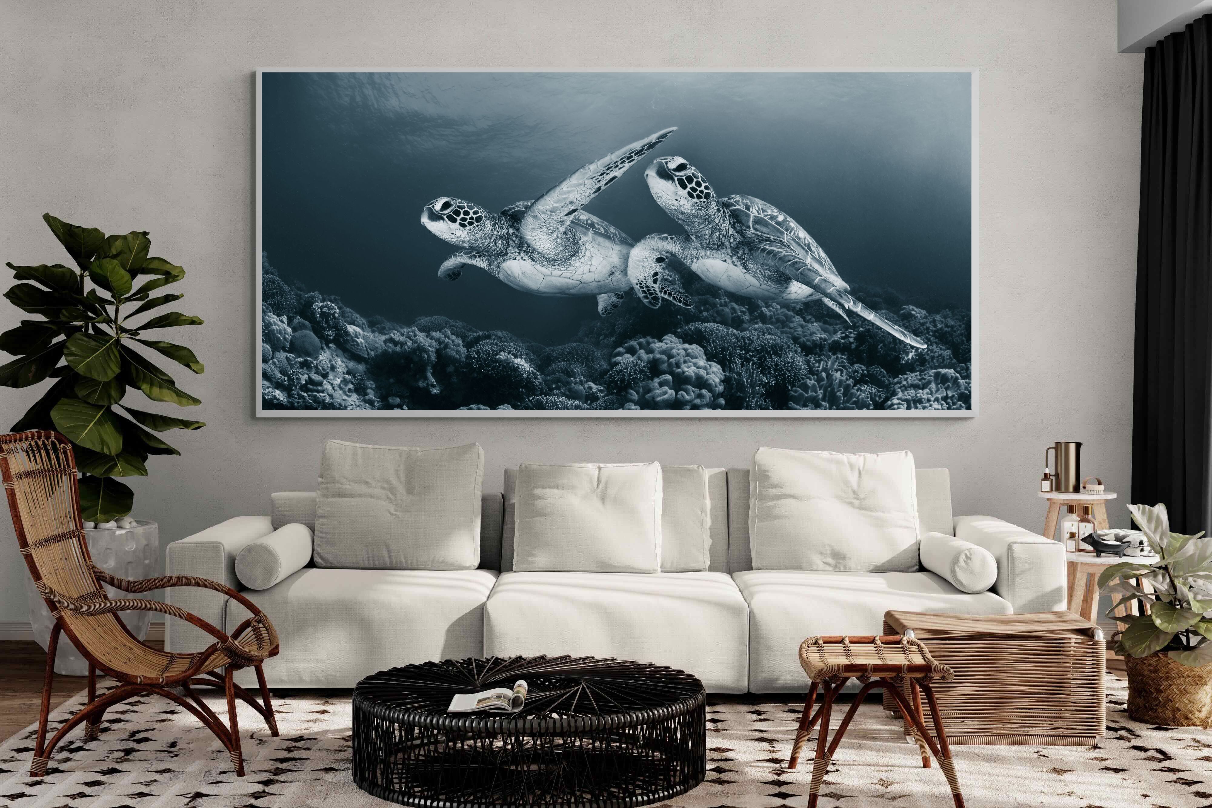 Pixalot Twin Turtles