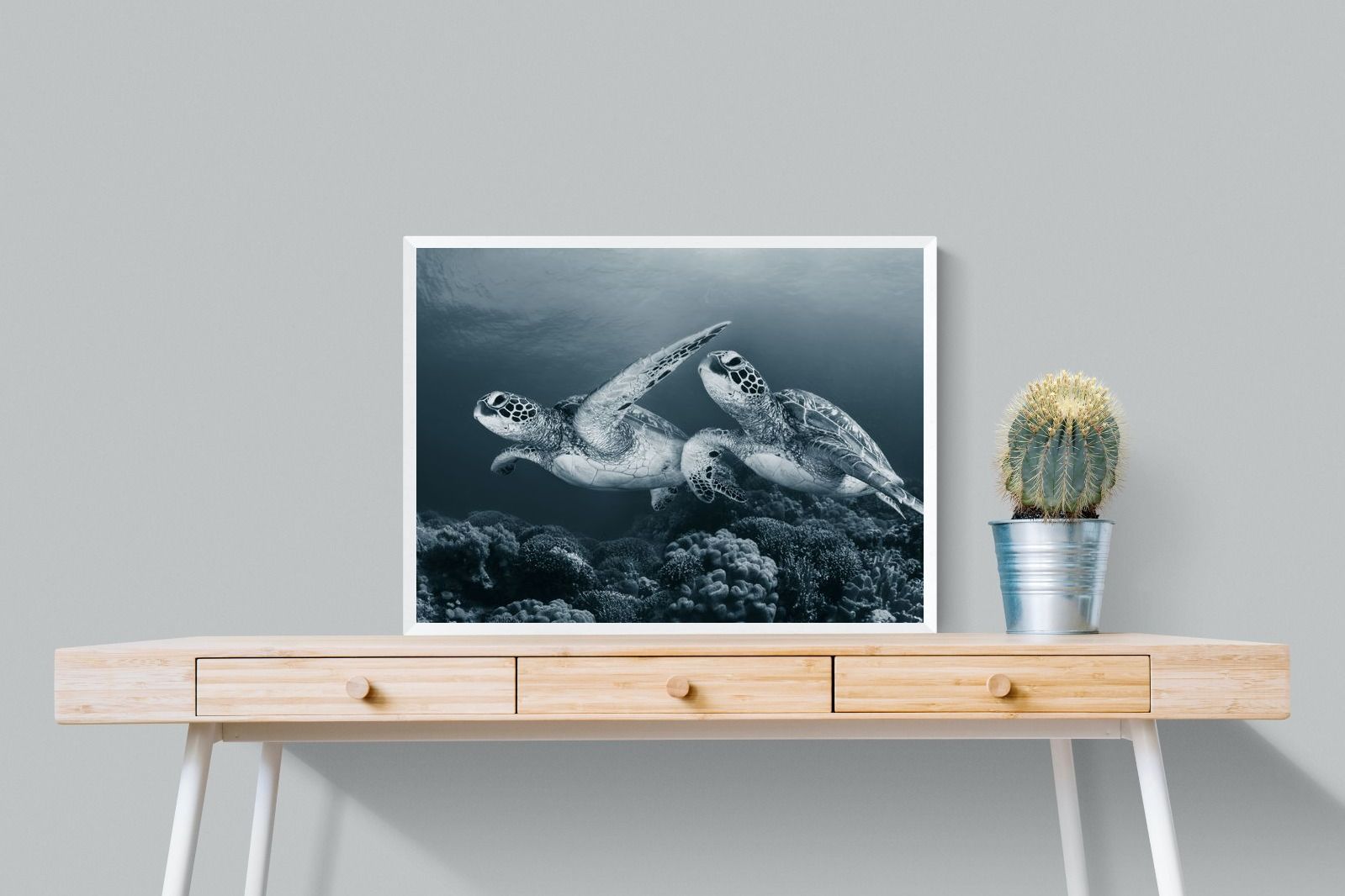 Pixalot Twin Turtles