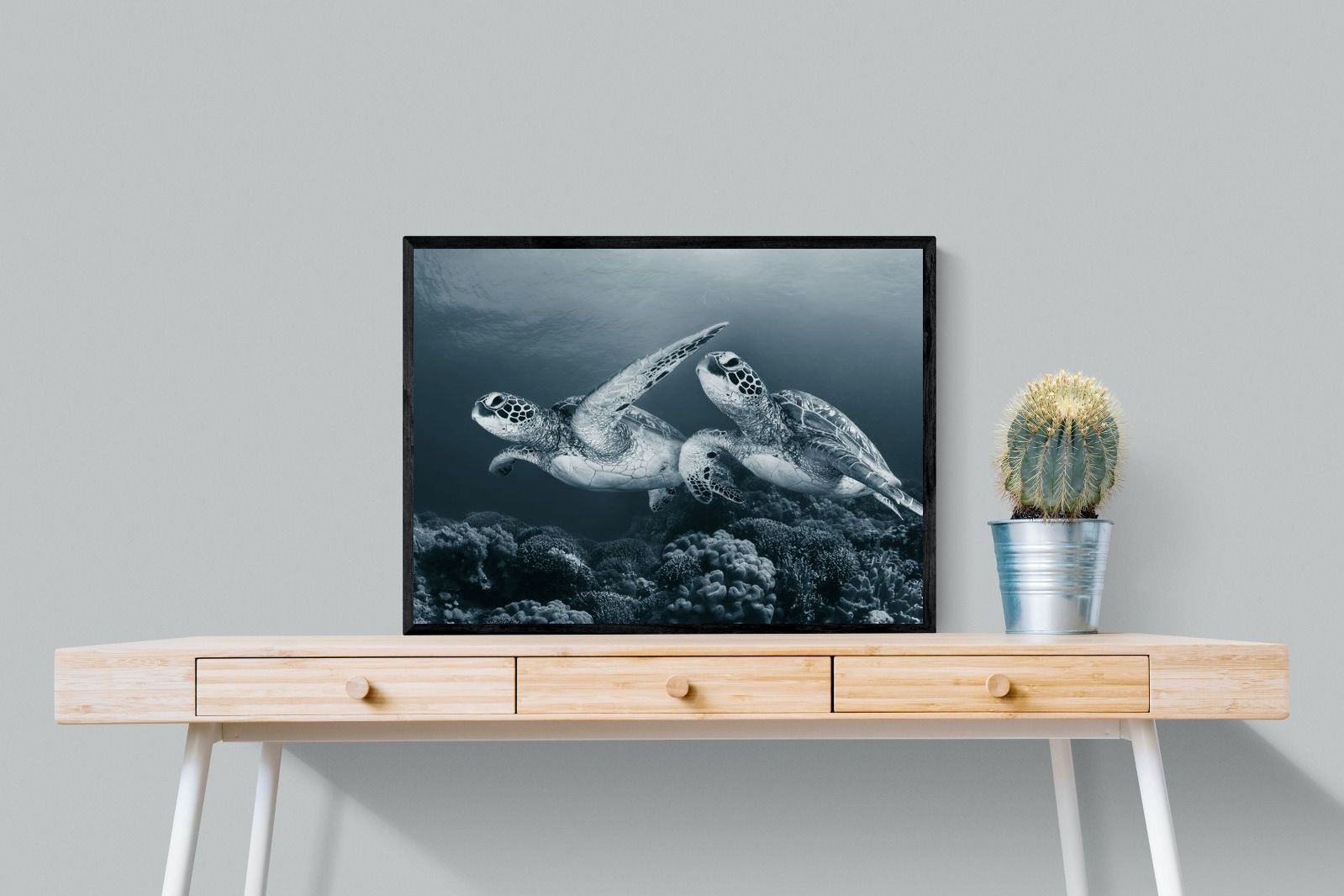 Pixalot Twin Turtles