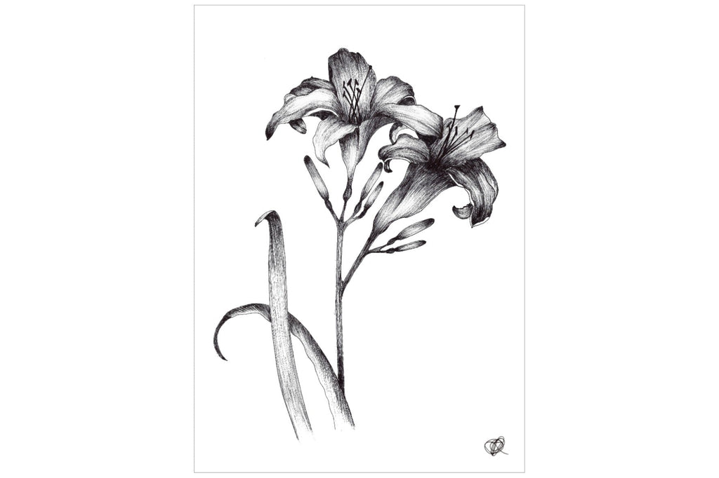 Two Daylilies-Wall_Art-Pixalot