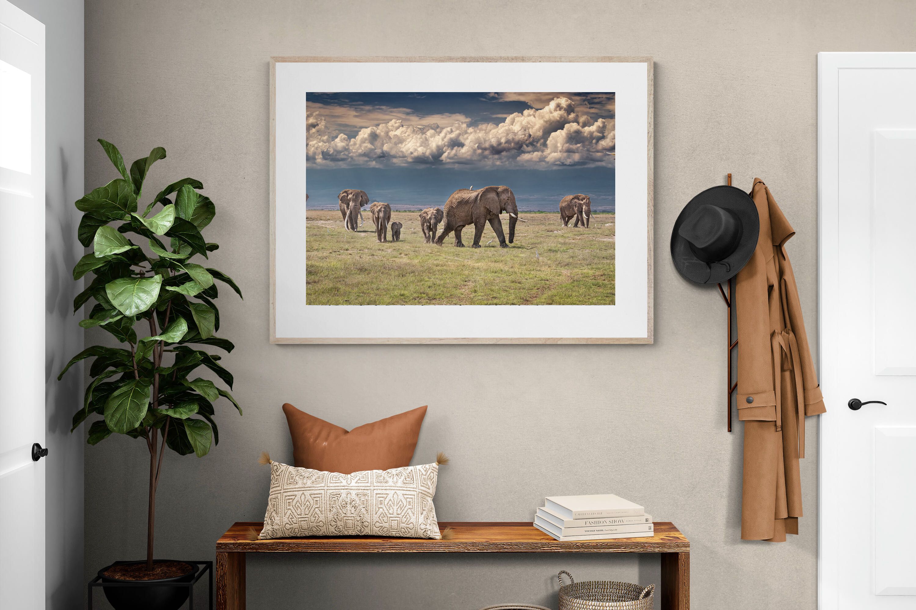 Pixalot Under Gathering Skies