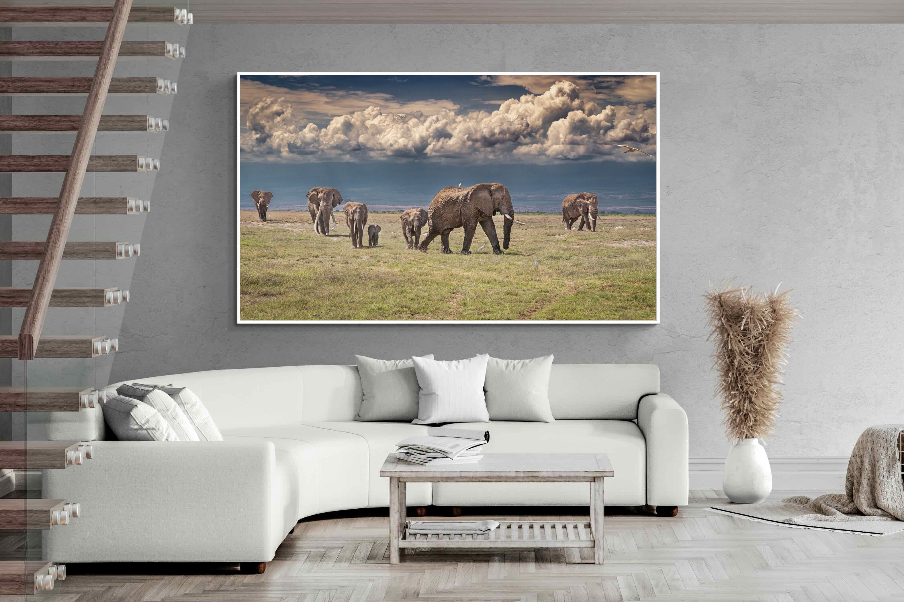 Pixalot Under Gathering Skies