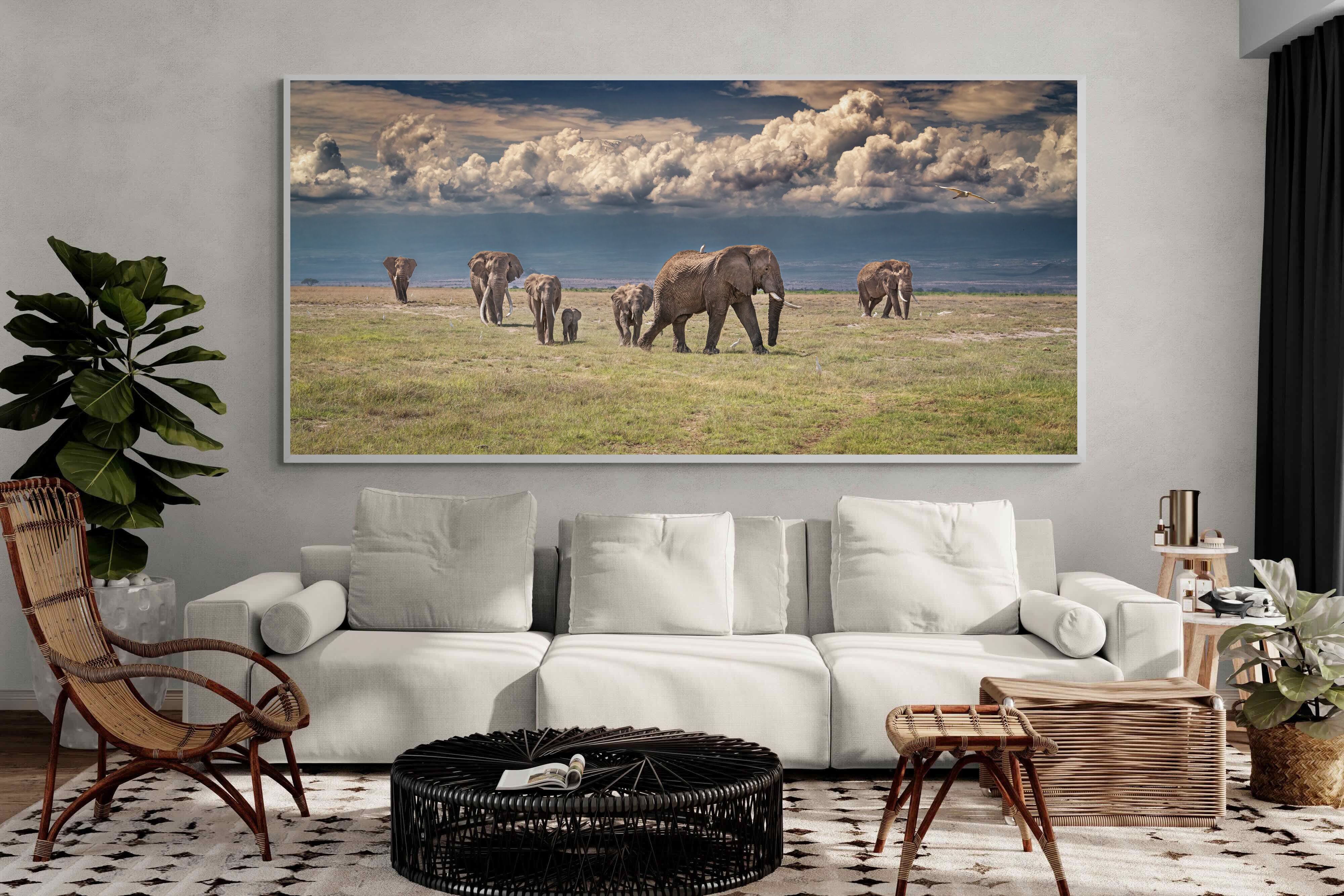 Pixalot Under Gathering Skies