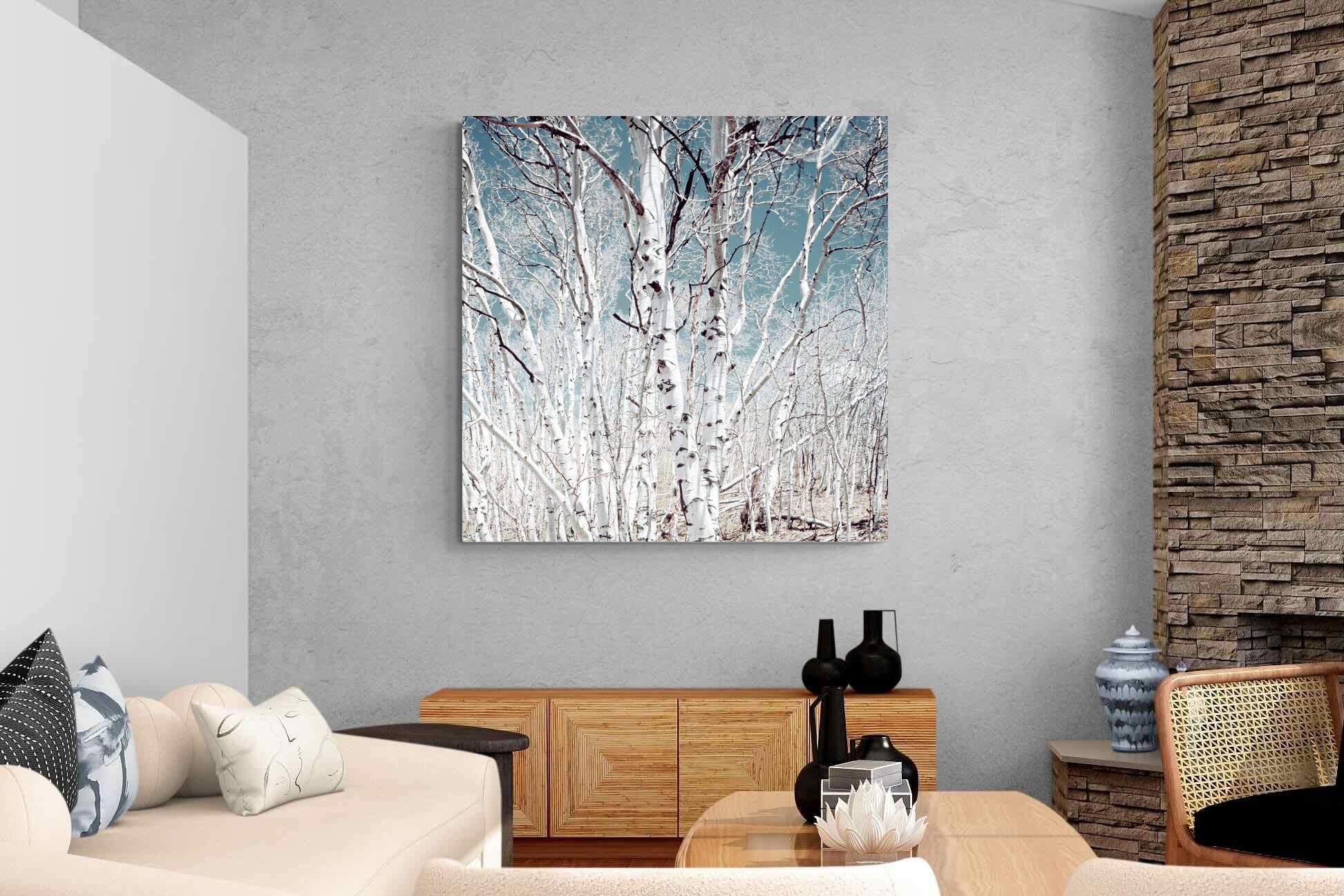 Utah Birch Trees | SALE-Wall_Art-120 x 120cm-Mounted Canvas-No Frame-Pixalot