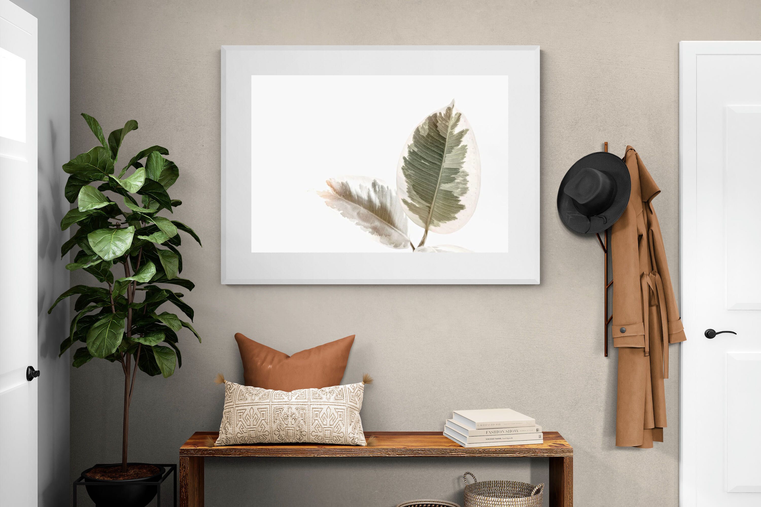 Pixalot Variegated Leaves