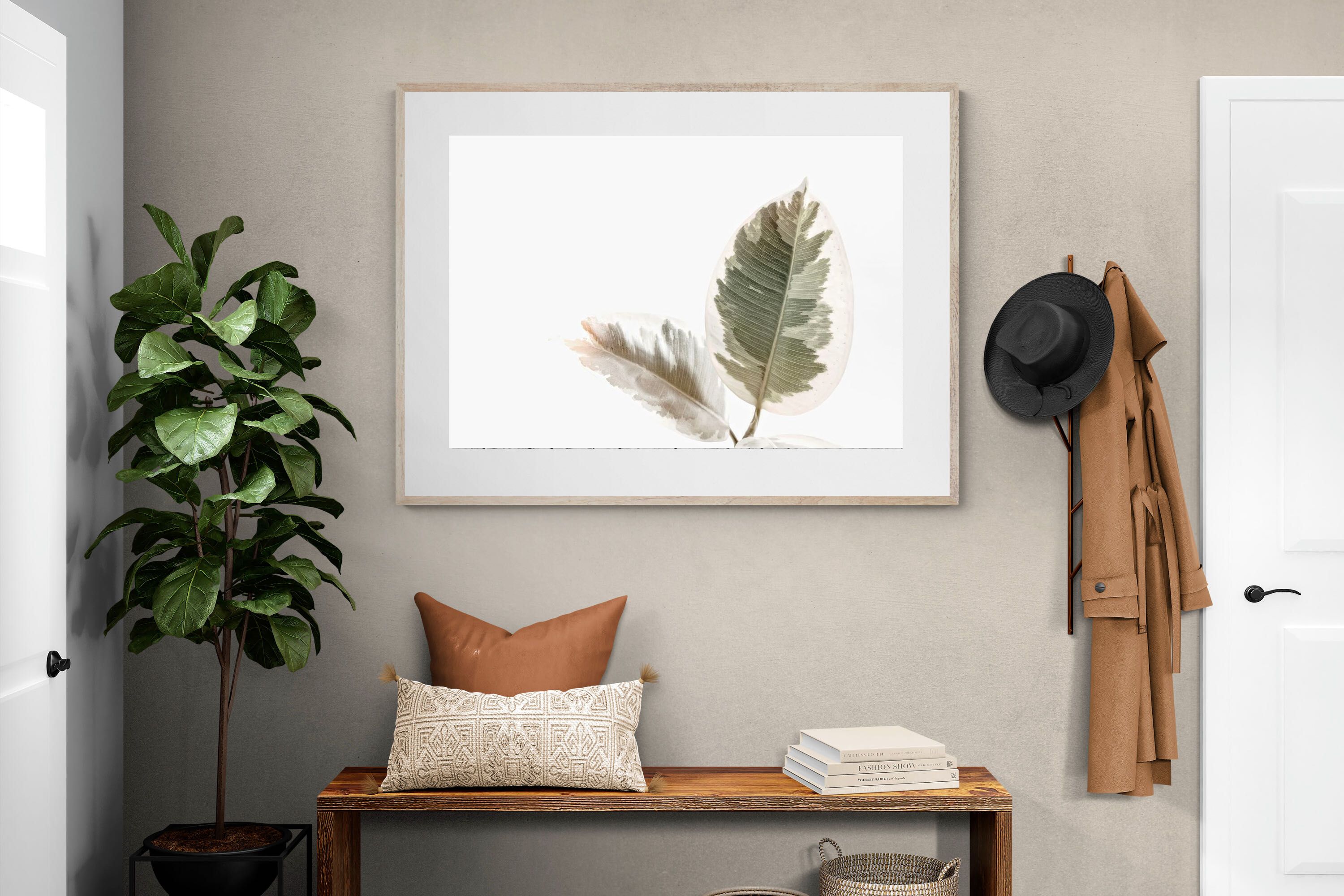 Pixalot Variegated Leaves