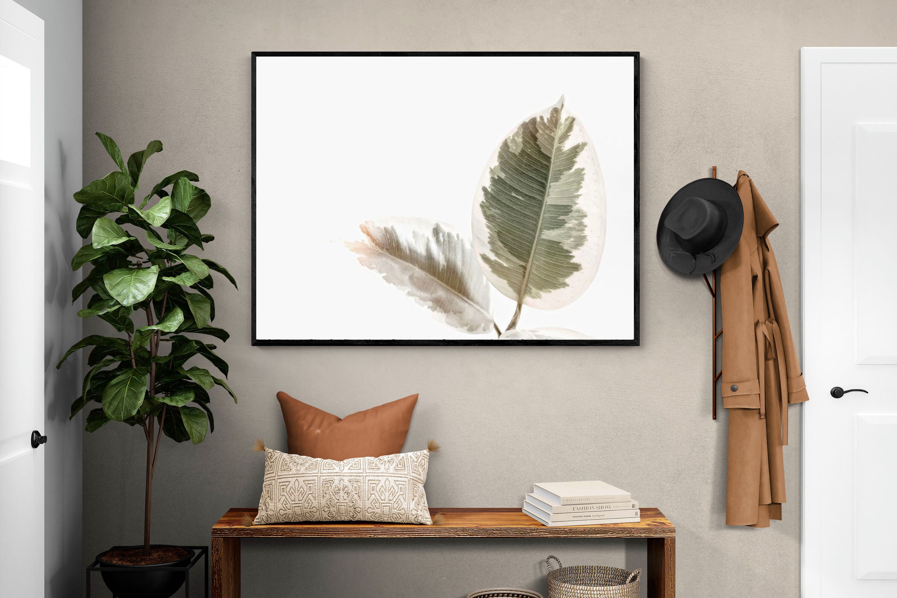 Pixalot Variegated Leaves