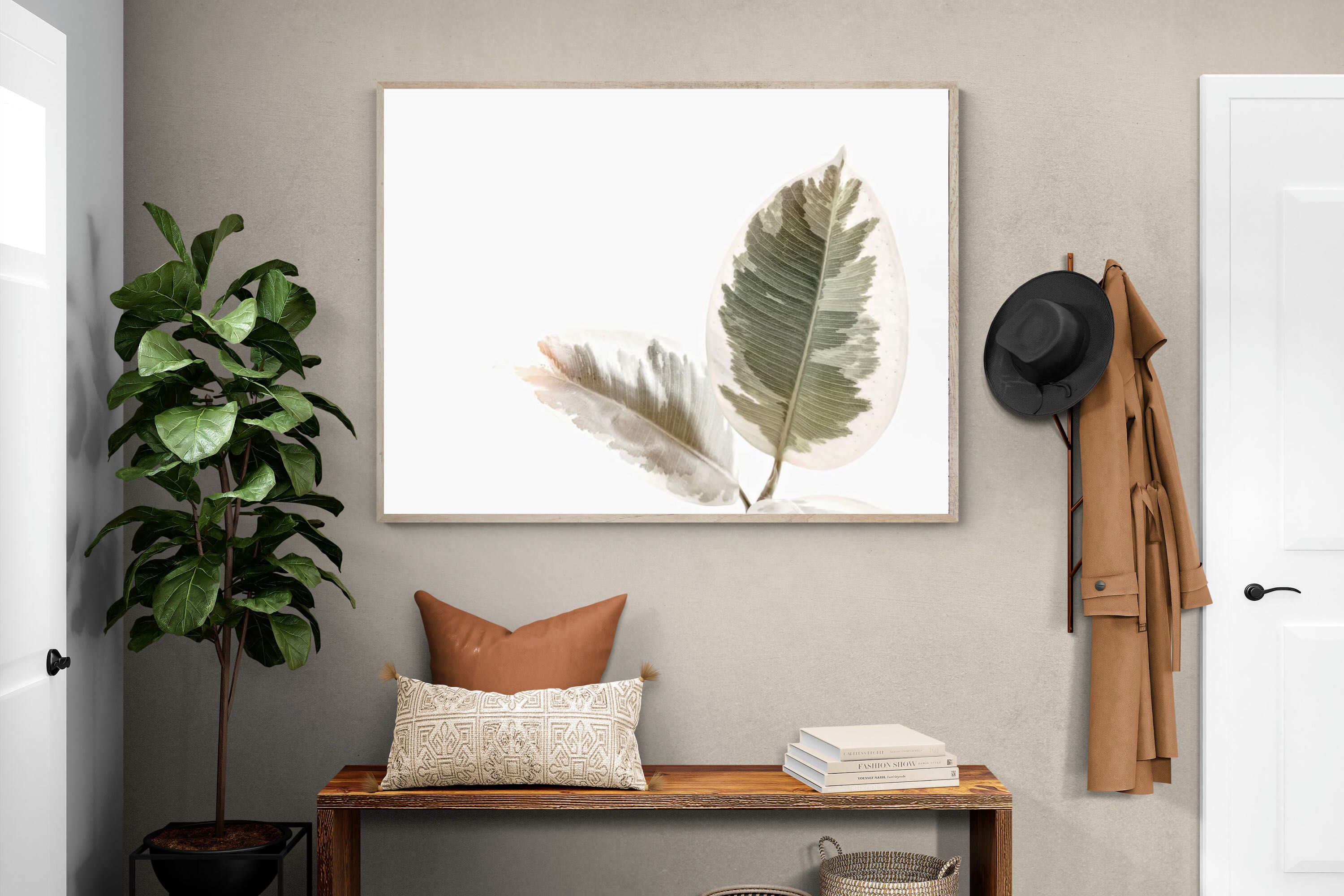 Pixalot Variegated Leaves