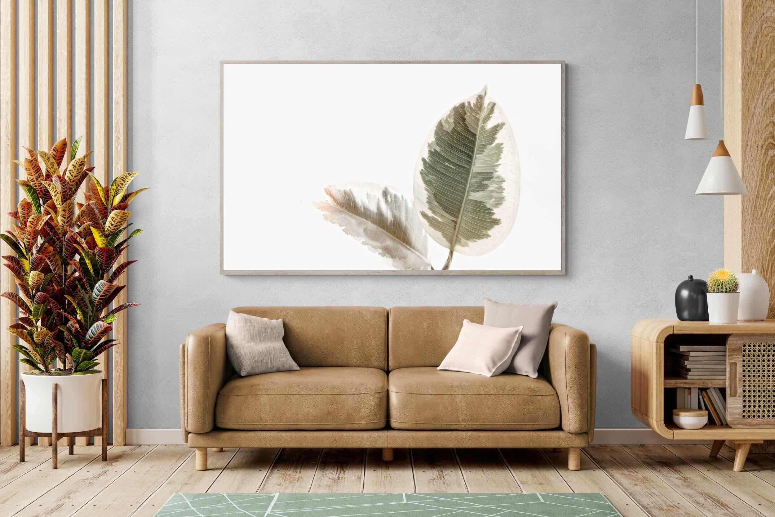 Pixalot Variegated Leaves