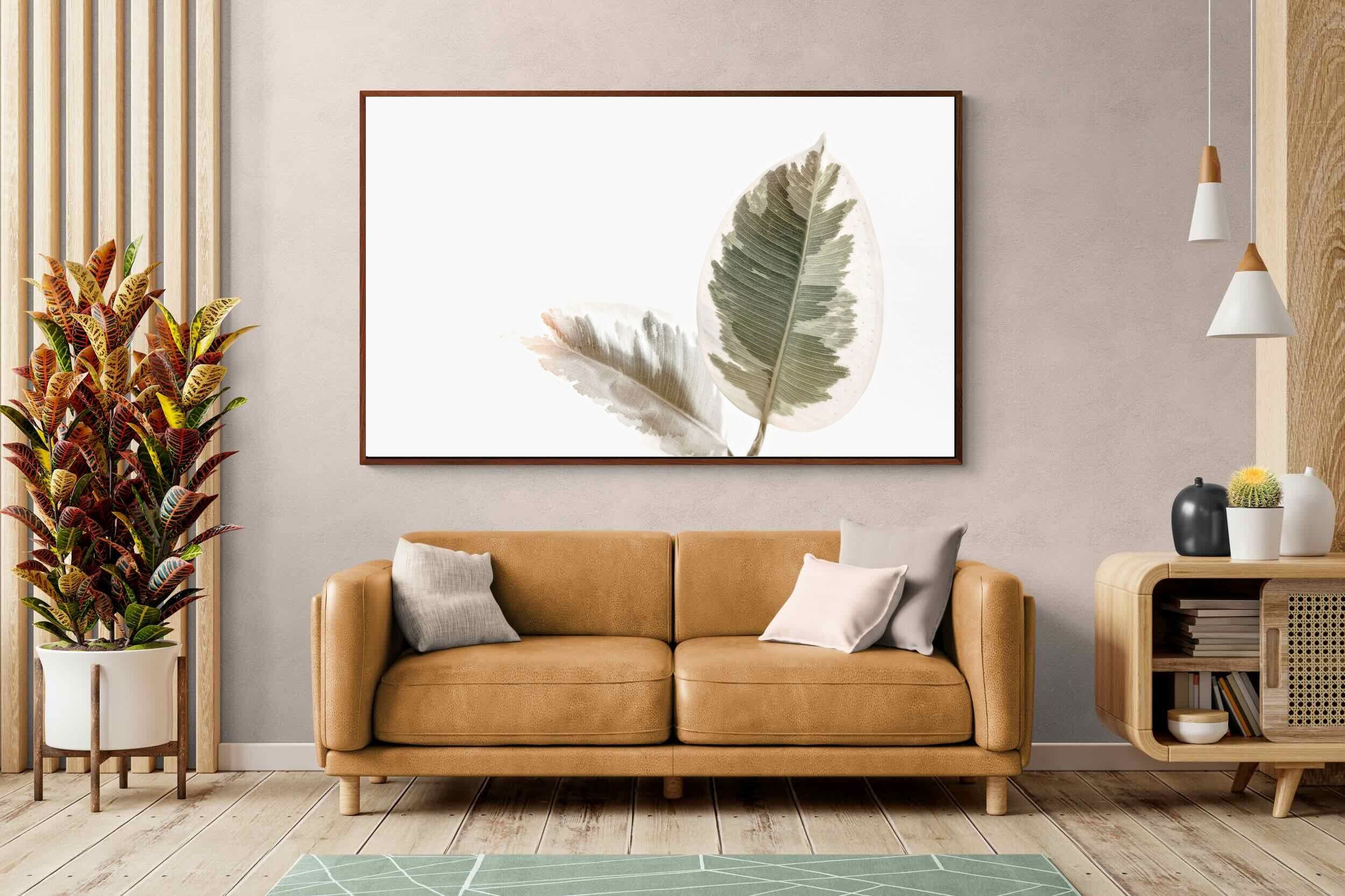 Pixalot Variegated Leaves