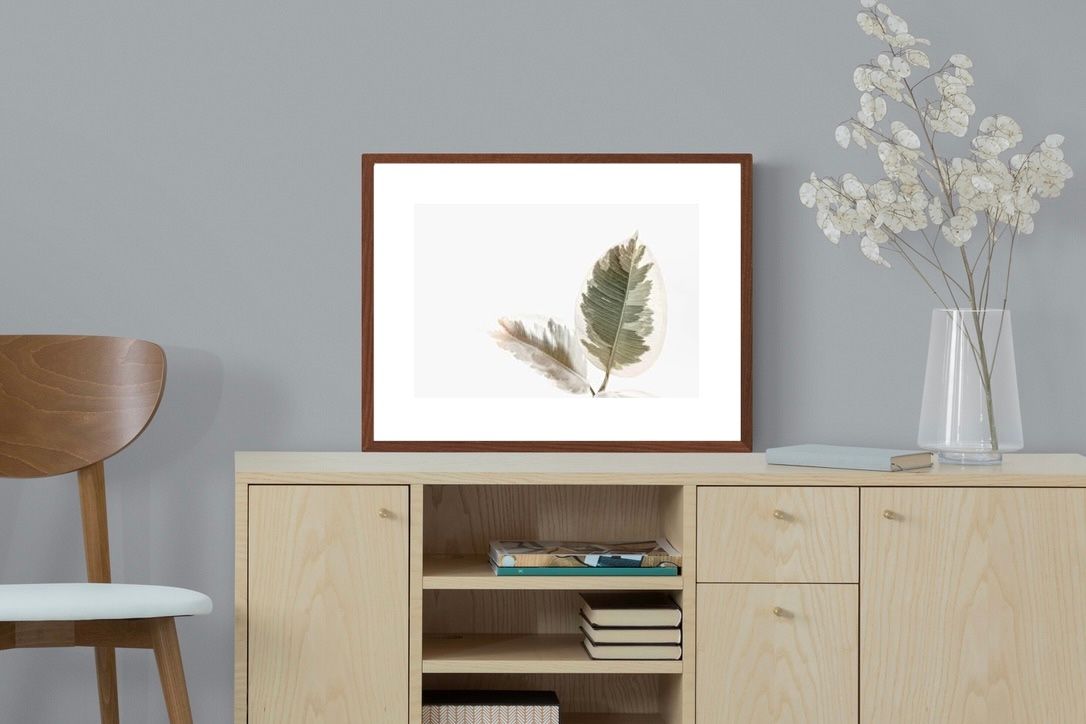 Pixalot Variegated Leaves