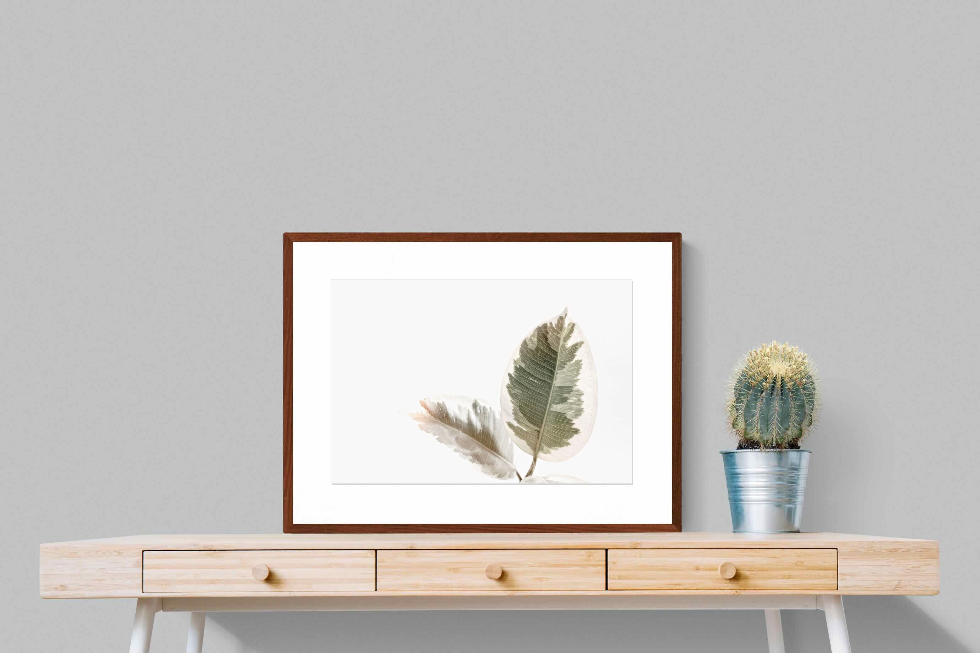 Pixalot Variegated Leaves