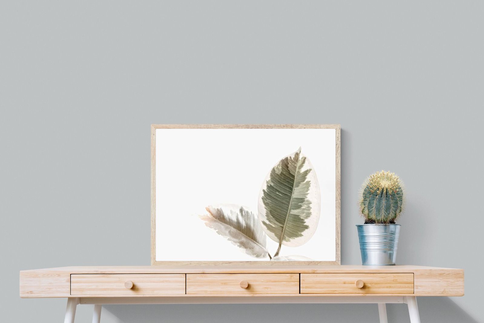 Pixalot Variegated Leaves