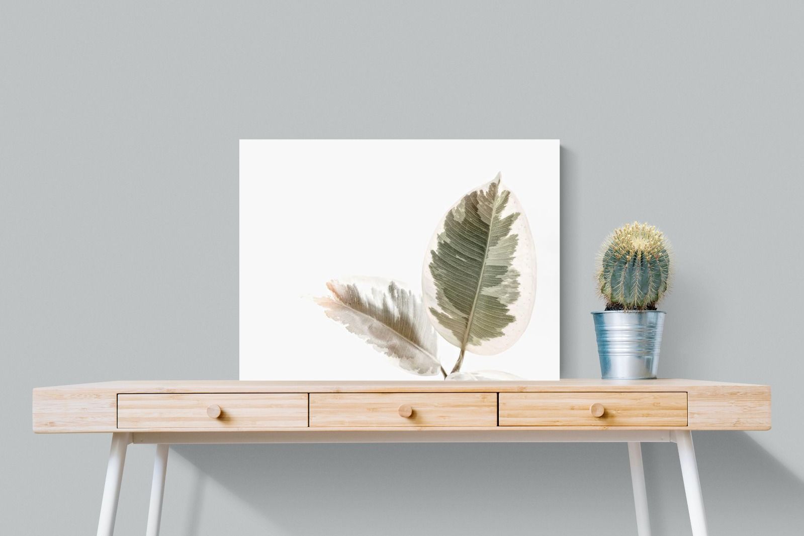 Pixalot Variegated Leaves