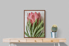 Pixalot Venus Protea