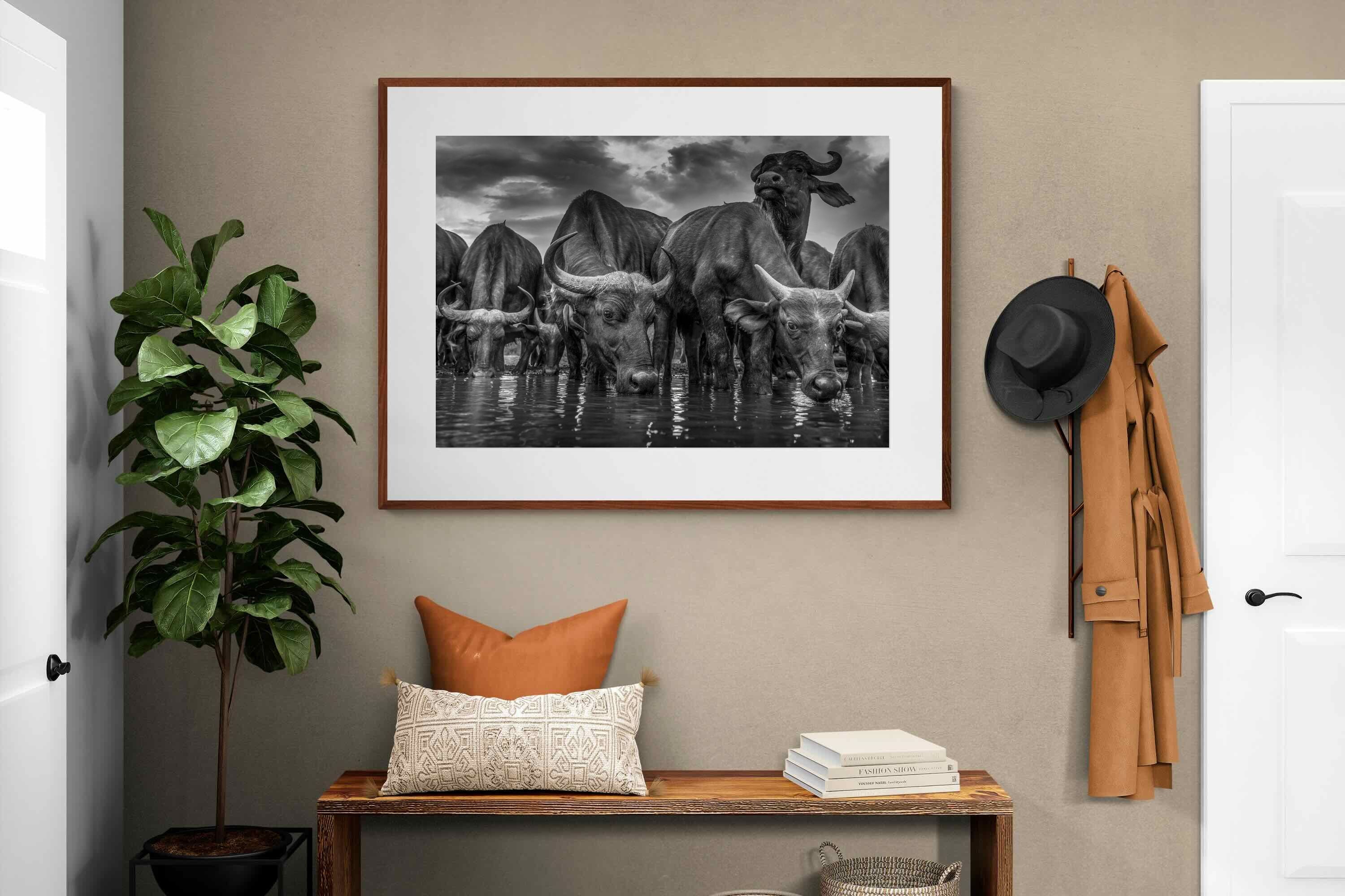 Pixalot ® Vigilant Herd