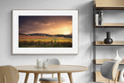 Pixalot ® Vineyards