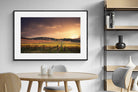 Pixalot ® Vineyards