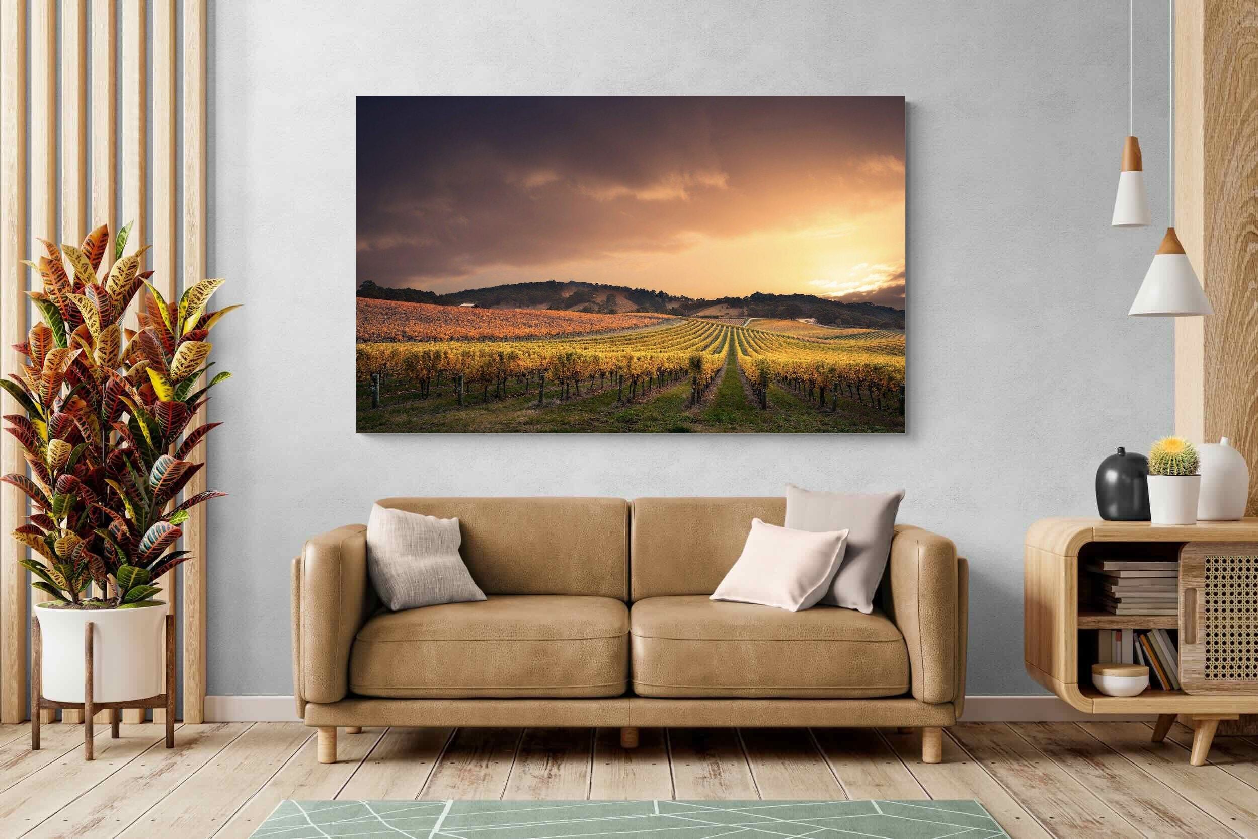 Pixalot ® Vineyards