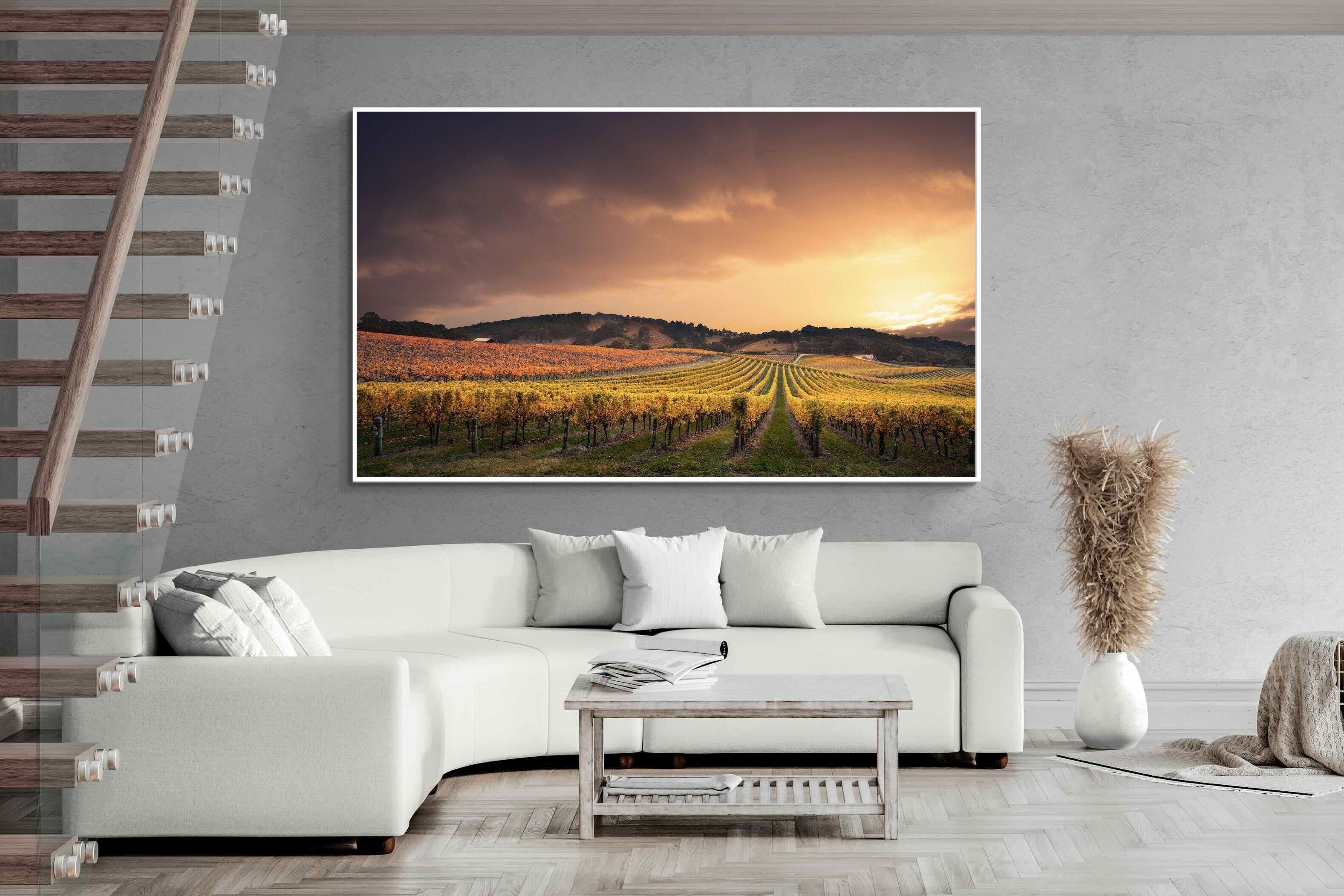 Pixalot ® Vineyards