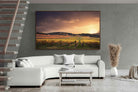 Pixalot ® Vineyards