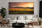Pixalot ® Vineyards
