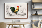 Pixalot ® Vintage Cockerel Illustration