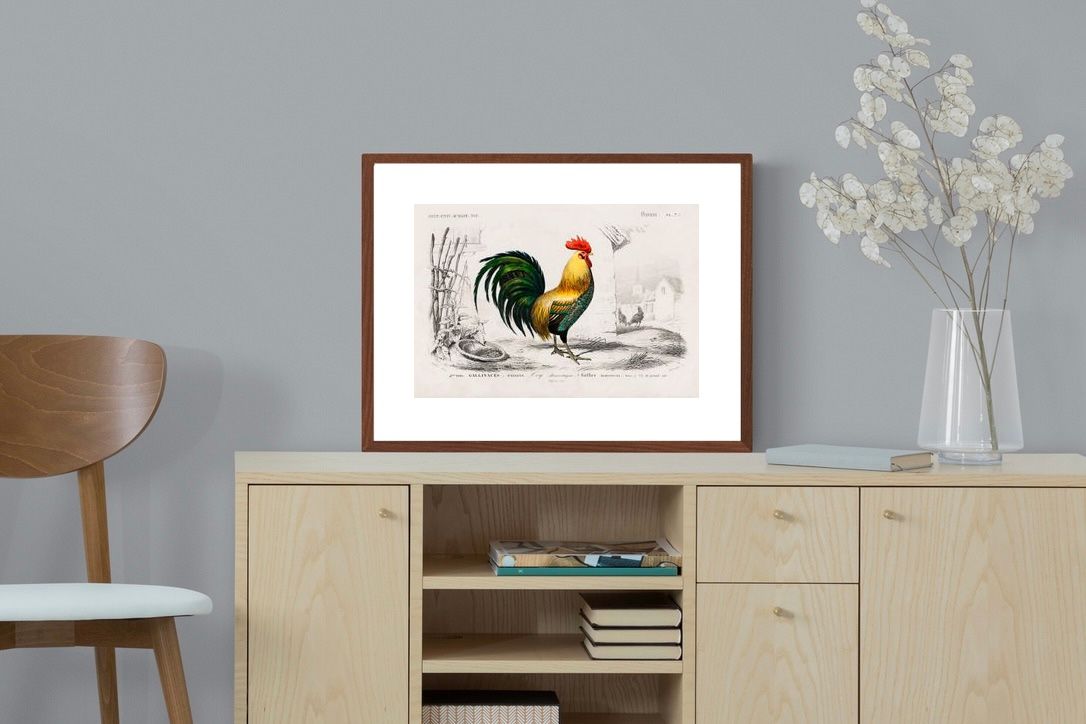 Pixalot ® Vintage Cockerel Illustration