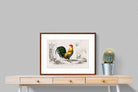 Pixalot ® Vintage Cockerel Illustration