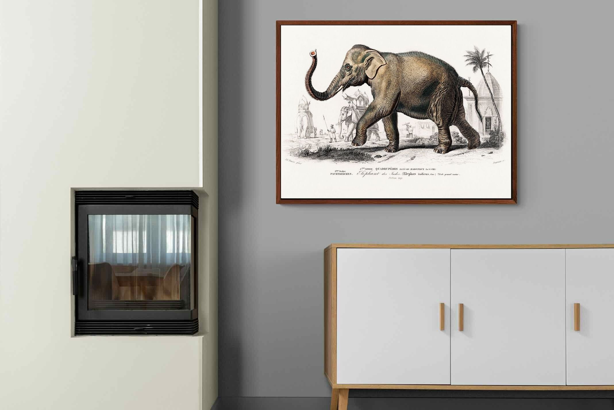 Pixalot ® Vintage Elephant Illustration