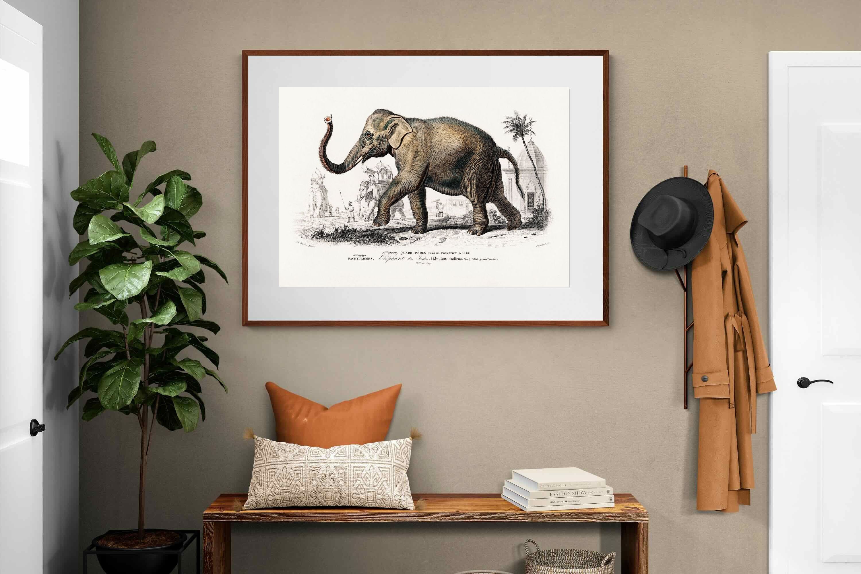 Pixalot ® Vintage Elephant Illustration