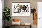 Pixalot ® Vintage Elephant Illustration