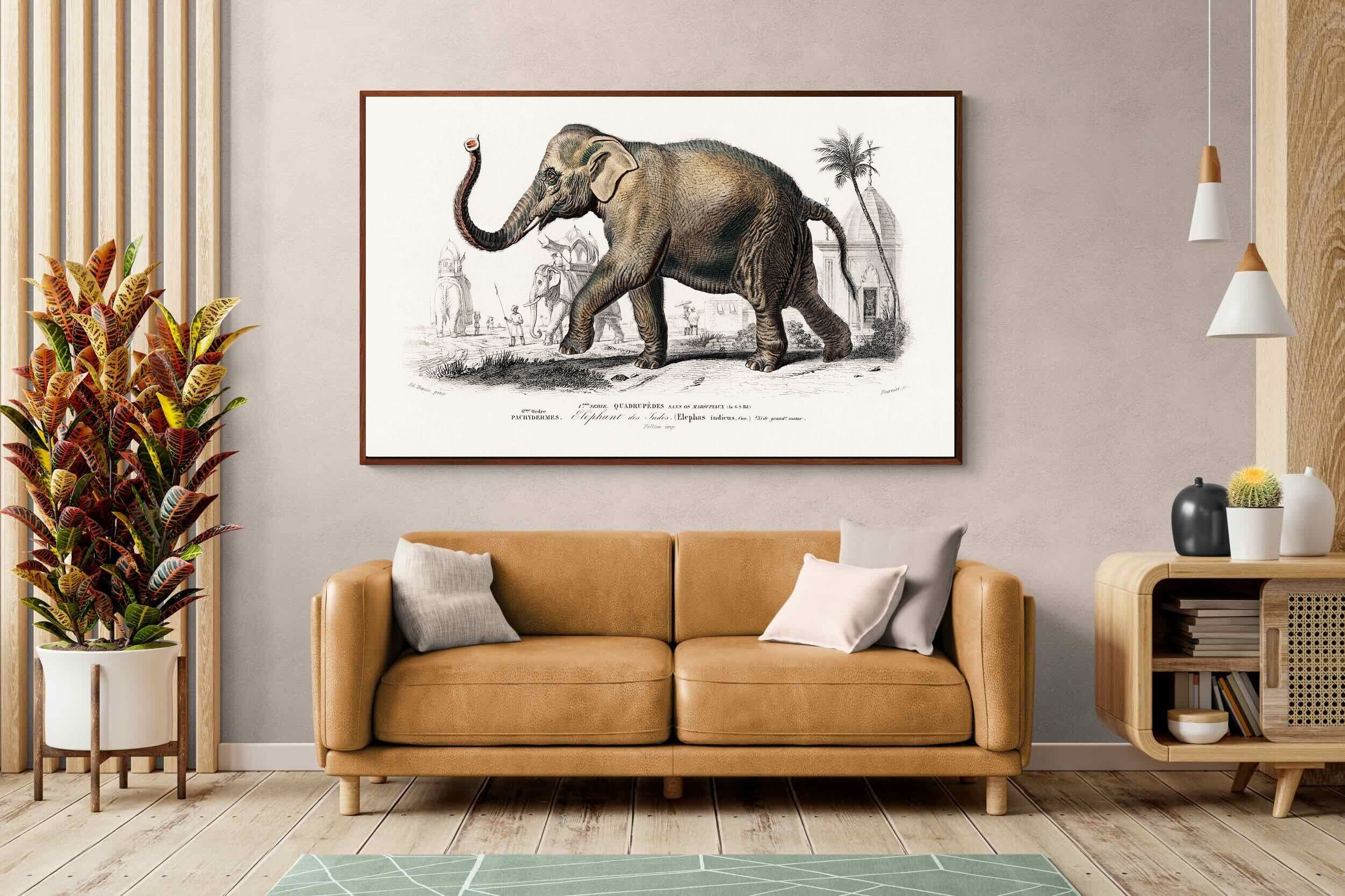 Pixalot ® Vintage Elephant Illustration