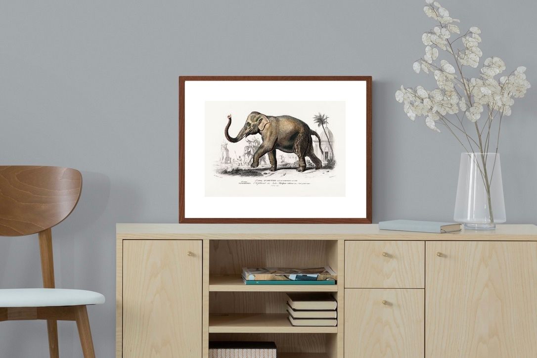 Pixalot ® Vintage Elephant Illustration