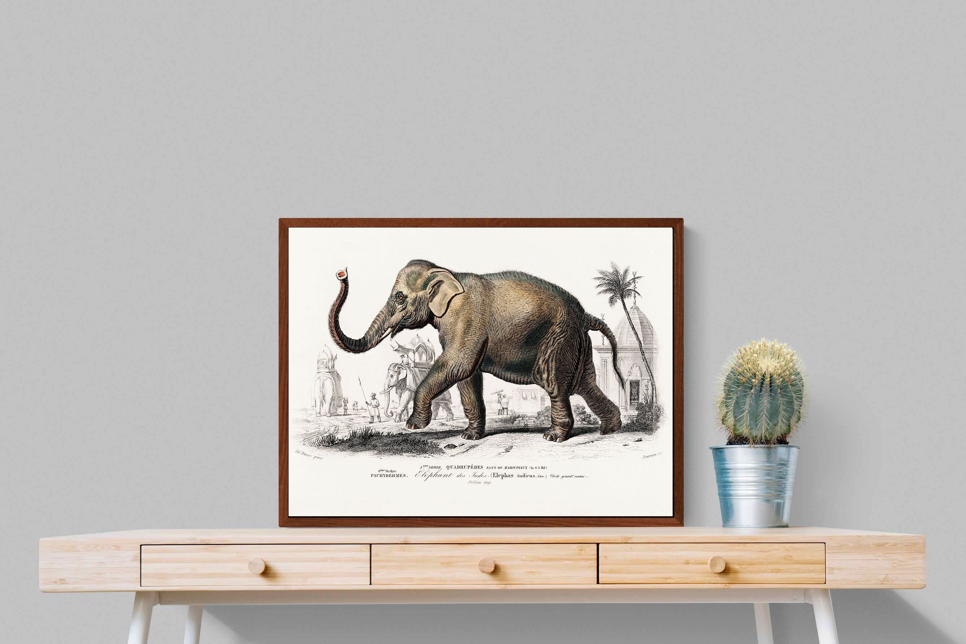 Pixalot ® Vintage Elephant Illustration