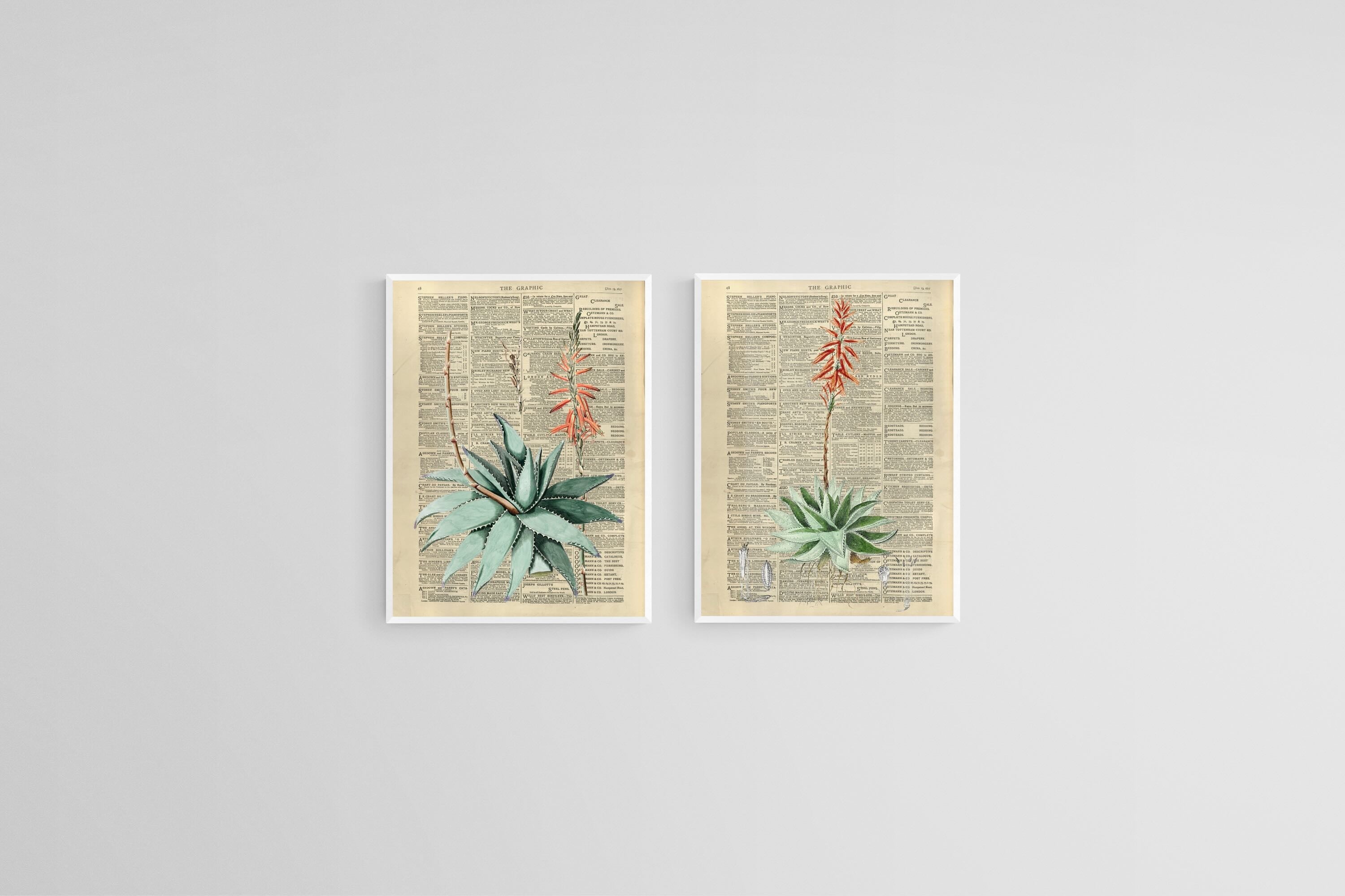 Vintage Press Aloe Set-Wall_Art-45 x 60cm (x2)-Mounted Canvas-White-Pixalot