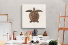 Pixalot Vintage Tortoise