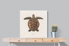 Pixalot Vintage Tortoise