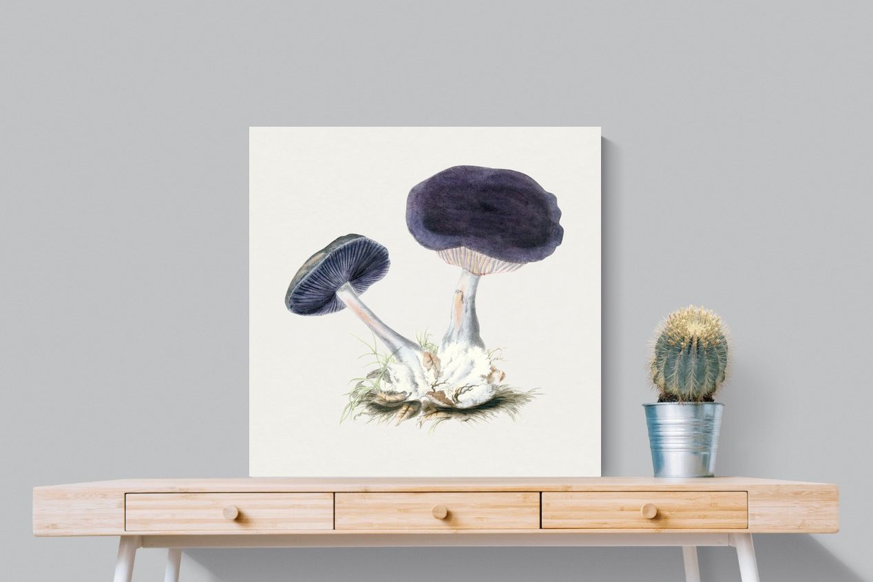 Pixalot Violet Webcap Mushroom