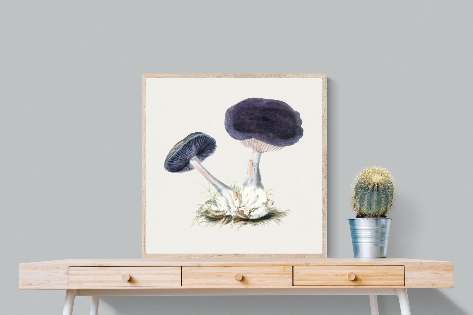 Pixalot Violet Webcap Mushroom