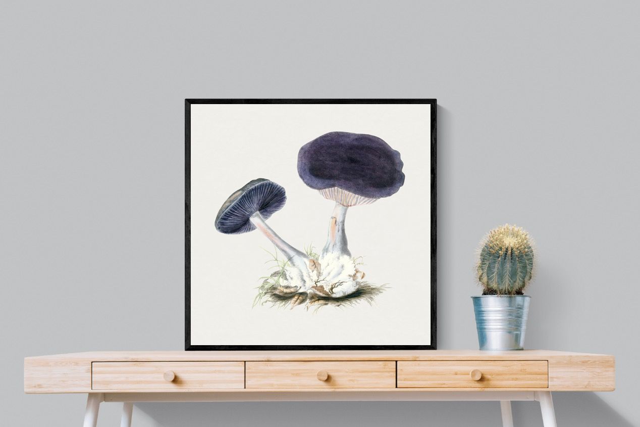 Pixalot Violet Webcap Mushroom